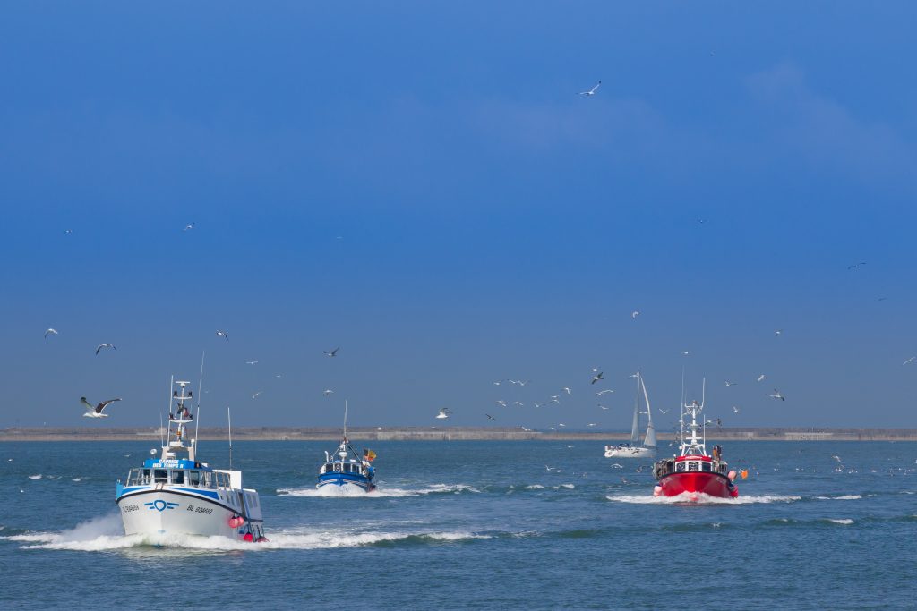 Back to the port-Boulogne©AS Flament