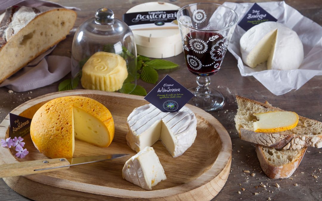 Discover fine family cheese making on a guided tour