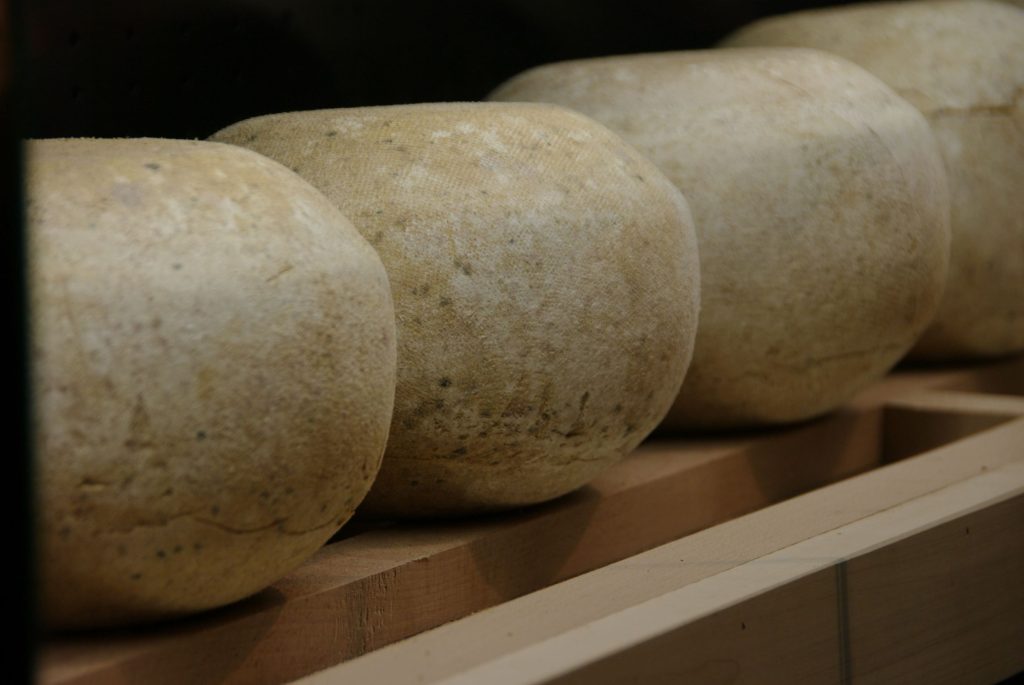 mimolette cheese  from les frères Bernard in wierre effroy