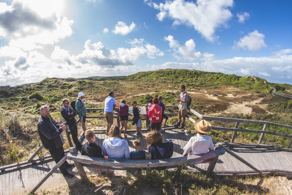 sand dunes at Merlimont