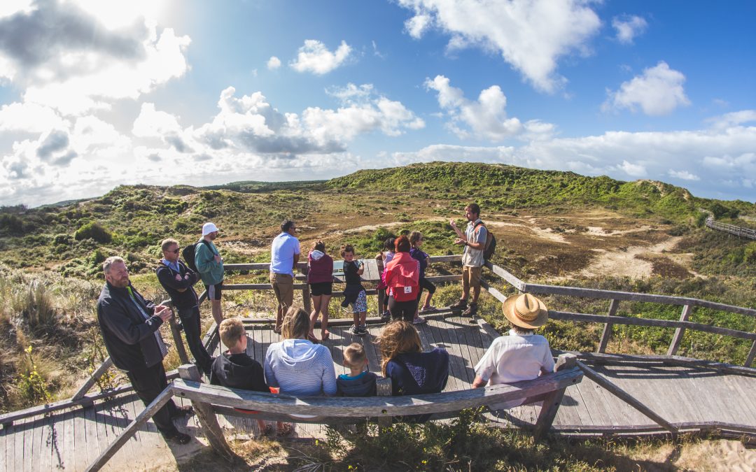 sand dunes at Merlimont